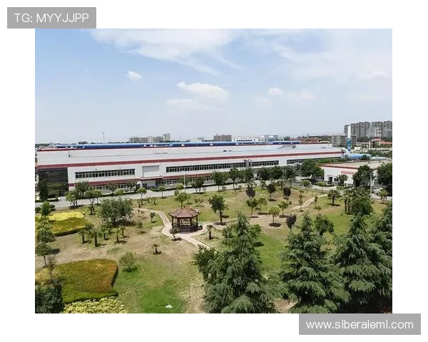 凯发集团下载官网网址查询的重要性及安全使用建议全攻略