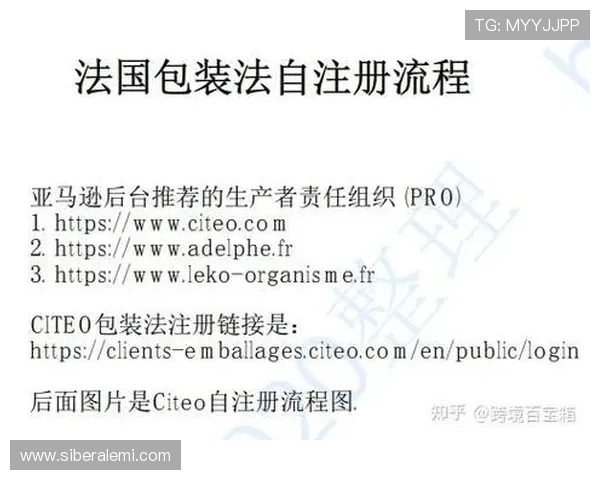 ag登录官网会员注册常见问题及解决方案帮助你顺利完成注册流程