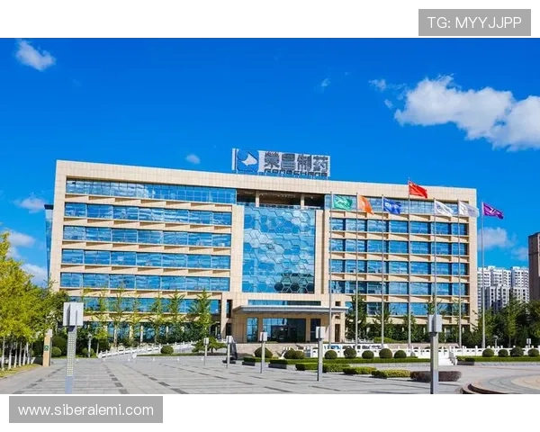 k8凯发中国天生赢家:最新优惠活动与注册流程详细介绍,快速开启你的赢家之路 k8凯发中国天生赢家:最新优惠活动与注册流程详细介绍,快速开启你的赢家之路