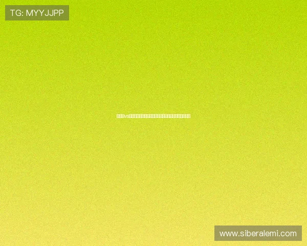 巴拉圭vs美国最新消息：世界杯预选赛最新动态与比赛亮点分析